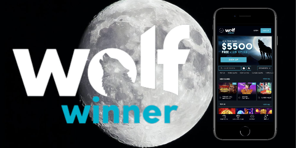Master the Hunt: Experience Seamless Continuity at Wolf Winner Casino